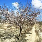 destacado-instalaciones-fincas